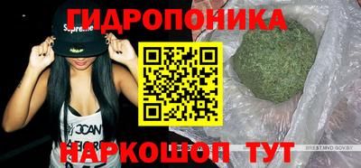 метамфетамин Гатчина